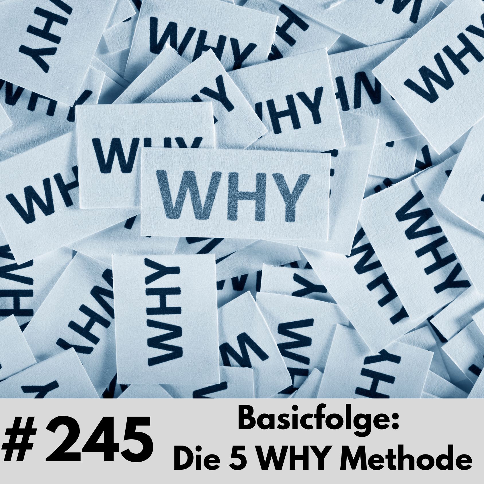 245-Die 5 Why Methode