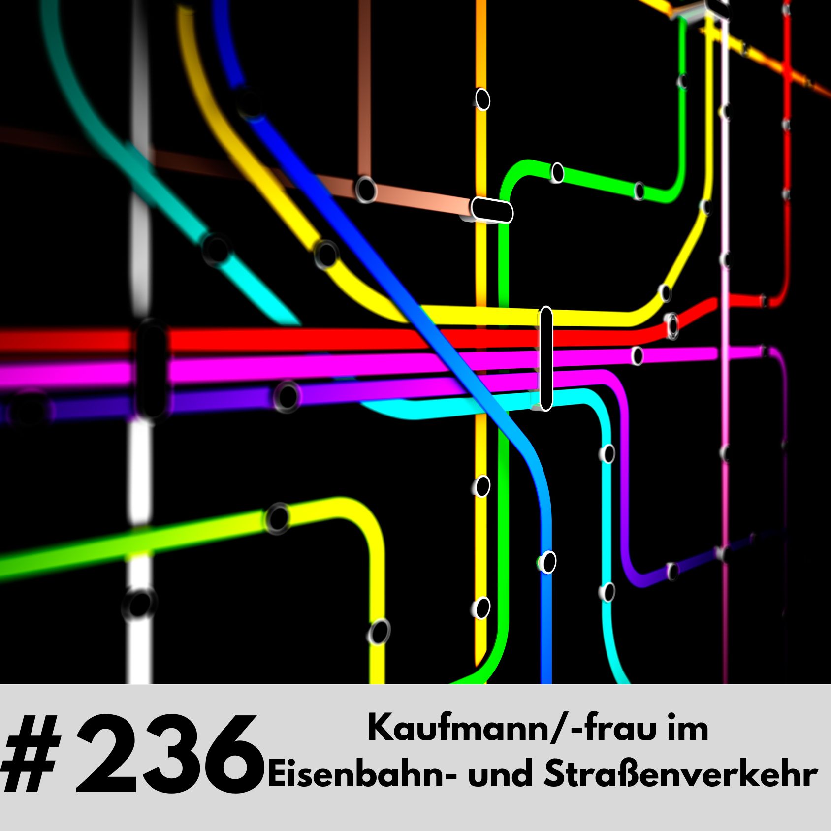 236-Kaufmann-frau im Eisenbahn-und Strassenverkehr