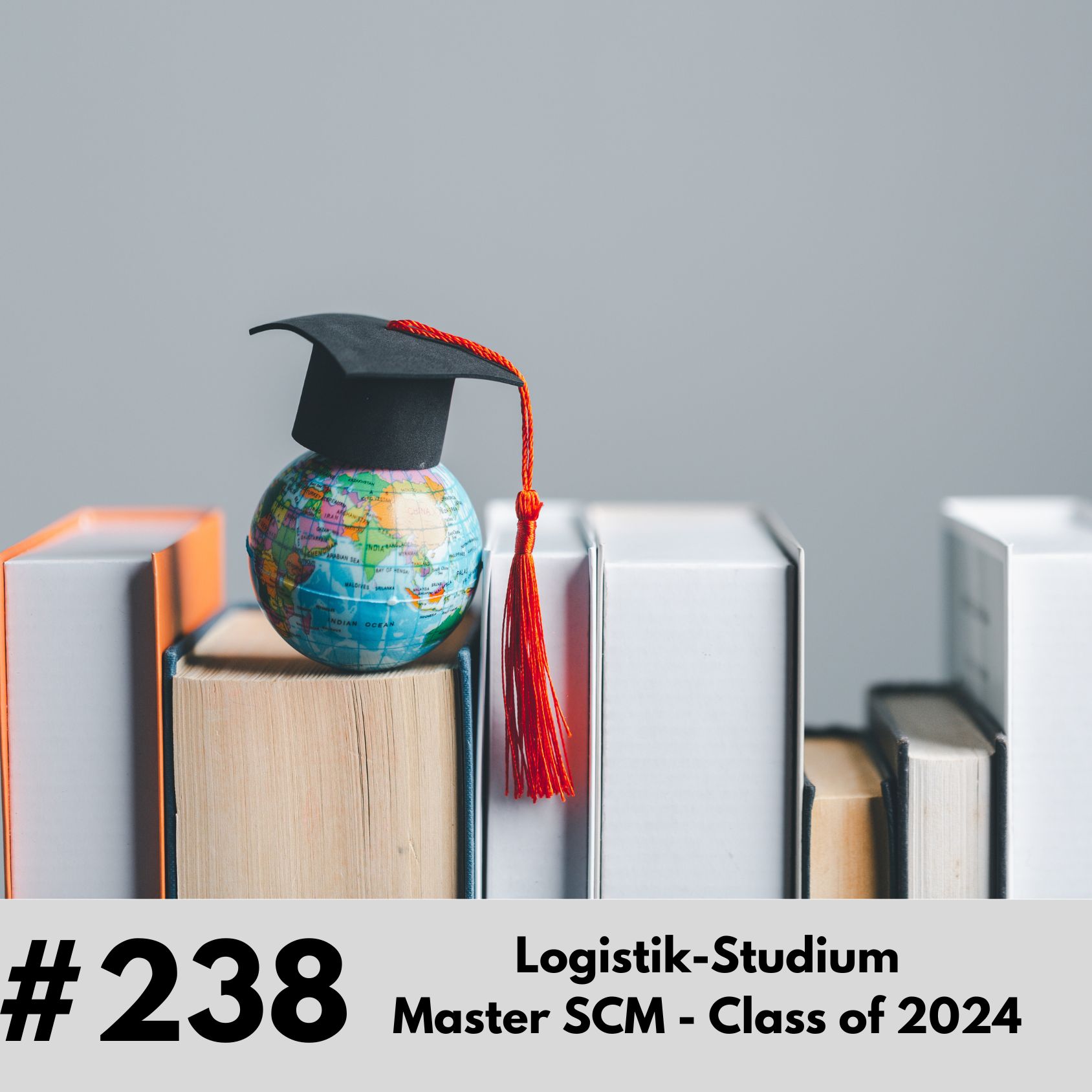 238 - Logistik Studium Master SCM - Class of 2024