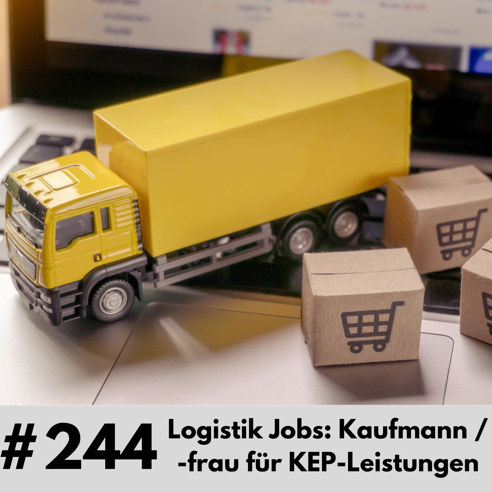 244-Logistics Jobs - Kaufmann für KEP Leistungen