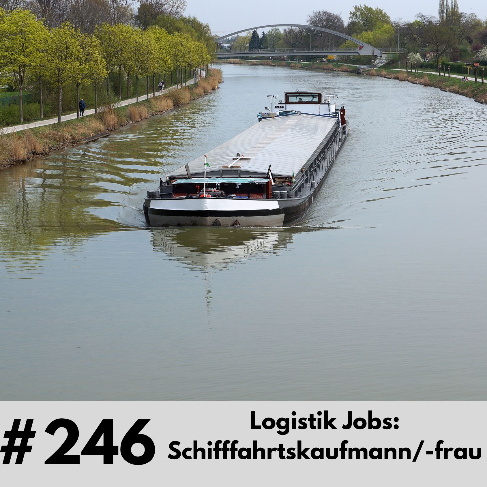 246 - Logistik Jobs - Schifffahrtskaufmann