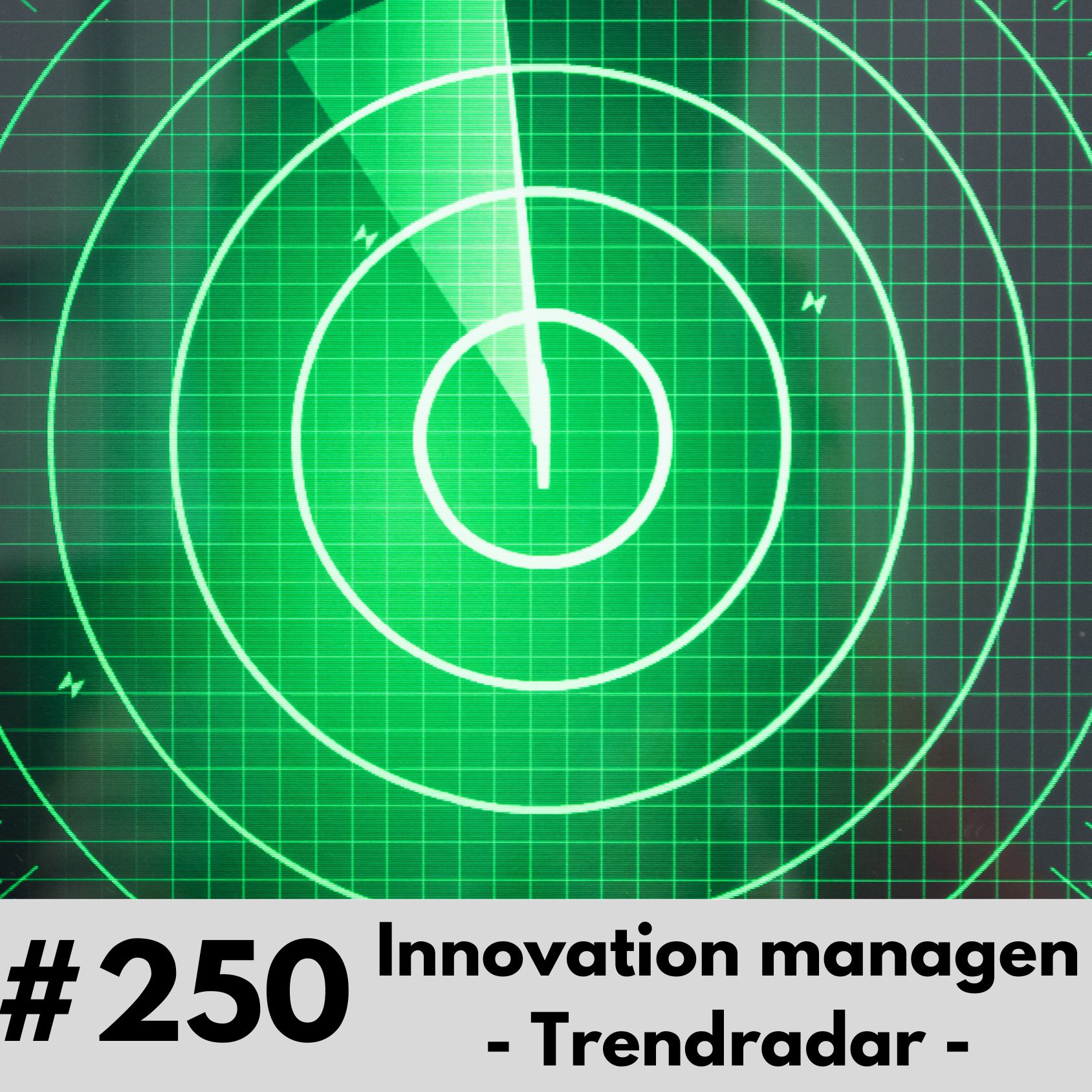 250 - Trendradar in der Logistik